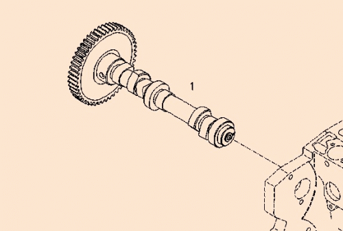 0425 9973 Camshaft