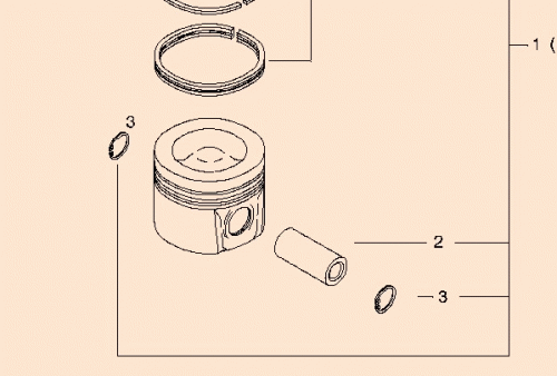 0491 0693 Piston STD