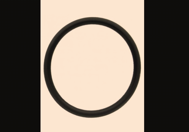 0118 0975 O-seal