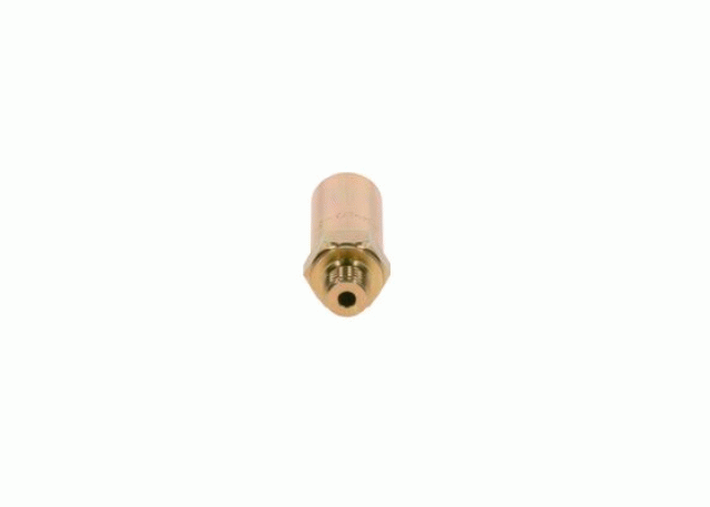 0131 9811 Overflow valve 2417413073 BOSCH - 01319811, 0910407, 3831016